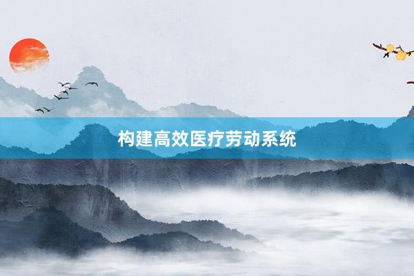 构建高效医疗劳动系统