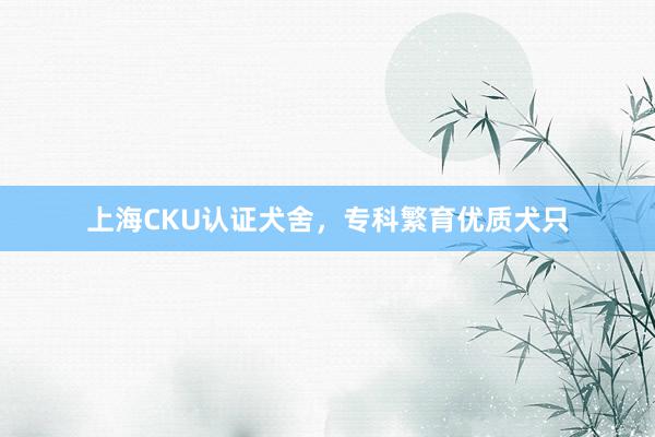 上海CKU认证犬舍，专科繁育优质犬只